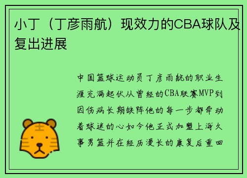 小丁（丁彦雨航）现效力的CBA球队及复出进展
