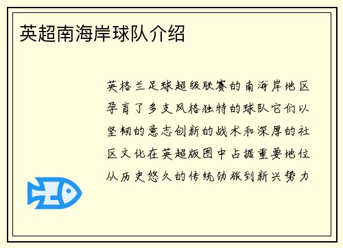 英超南海岸球队介绍